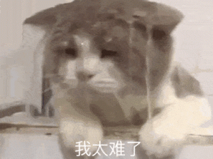 我太难了表情包启示，资源管理新视角及实战策略探索