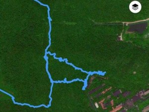 导航中的狼：色狼导航全新升级，带你探索未知领域