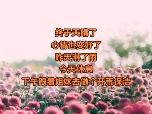 抖音热门BGM探寻 时光静谧中那首耳畔轻吟之歌