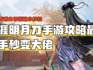 天涯明月刀手游子非鱼怎么做？开荒/零氪/速通保姆级教学