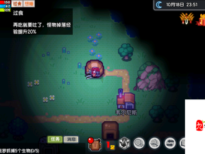 伊洛纳游戏中提升火焰耐性策略，资源管理技巧及价值最大化