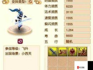 梦幻西游加点攻略，资源管理技巧与避免浪费最大化价值