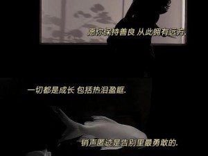 抖音旋律之谜，浪漫启示下的资源管理新实践