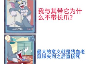 猫和老鼠B级知识卡怎么玩？揭秘策略与乐趣的深度碰撞之谜！