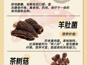 狠狠狠狠狠狠久久99精品蘑菇的独特魅力与食用方法全解析，让你体验不一样的味蕾盛宴