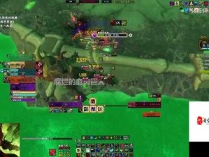 魔兽世界怀旧服宁神射击获取及资源高效利用策略