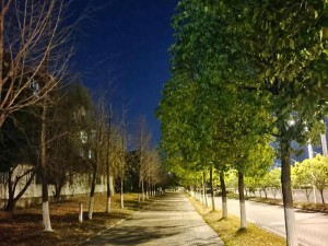 在流逝时光中探寻 后继者用深情旋律诠释等待之歌