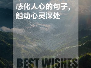 是什么阻挡了我探寻 那首触动心灵之歌的脚步