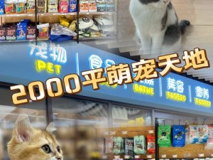 天天放置宠物如何进阶？揭秘进阶效果与性价比的深层分析