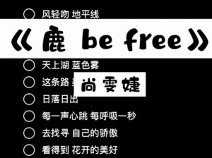 抖音热曲探秘，捉摸不透的旋律之源大揭秘