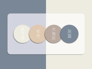 红蓝黑灰色彩运用，揭秘资源管理中的色彩奥秘