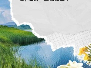 追忆青春旋律 追着风那首唤醒往昔记忆之歌