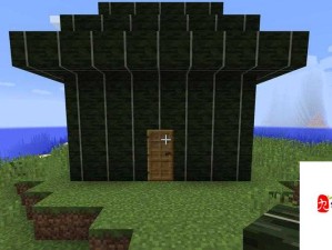 XVDEVIOSxvdevios100 究竟是什么神秘存在