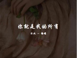 探寻你是我的我是你的歌曲之源 聚焦资源管理与价值最大化