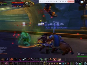 魔兽世界怀旧服副本攻略，揭秘资源管理的艺术之道