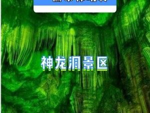 探索龙族幻想，揭秘神秘洞窟的奇幻旅程与价值发掘