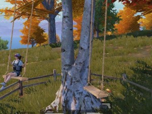 和平精英荡秋千位置揭秘及资源管理高效策略