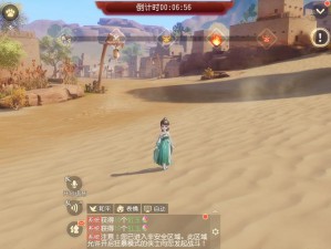 梦幻西游三维版，如意仙子技能全解析及资源管理策略