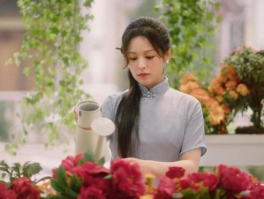 偷心盗贼是哪首歌？揭秘流行乐坛的甜蜜旋律陷阱