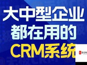 国产 CRM 系统 91-为企业管理带来全新变革的高效工具