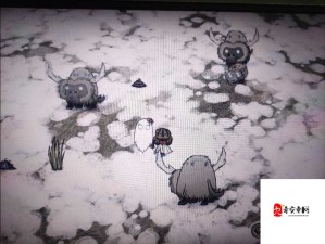 饥荒联机版高效海象击杀策略与打法技巧解析