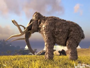 魔法猛犸象饲料用量大揭秘！养一只到底要囤多少粮食？饲养党必看！