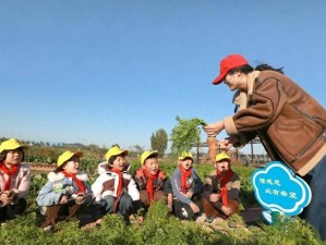 女人和男生拔萝卜技巧大对比｜田间劳动实战经验分享，哪种方法更省力高效？ （解析：采用对比式结构触发用户好奇心，保留完整关键词女人和男生拔萝卜，通过技巧对比和省力高效突显实用价值，符合百度对农业生活类内容偏好添加田间劳动实战经验增强场景代入感，问句结尾引导点击，共34字满足SEO长度要求且自然融入长尾词）