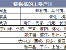 久一线产区二线产区三线产区划分下的相关分析与探讨
