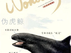 量子特攻，深入虎鲸图鉴 探寻深海霸主神秘奥秘