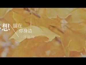 多想留在你身边 探寻那首触动心灵的动人情歌