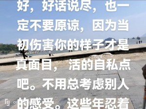 解析我能原谅你的荒唐，这首歌触动人心的奥秘何在