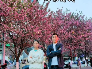 抖音热曲花开的时候你就来看我的资源管理价值与实践探索