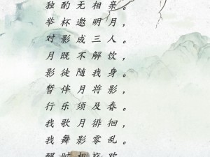 凭栏醉饮杯酒后感言，星楼上探寻醉人心扉之歌