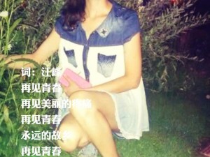 再见青春再见美丽的疼痛是什么歌，深度测评与攻略