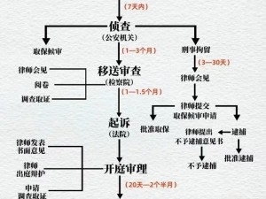 古代人生如何巧妙应对，妥善处理各类复杂案件的攻略大全？