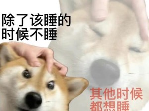 熬夜冠军含义揭秘，探究网络流行语背后的故事