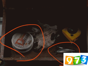 记忆重现第一章如何完美通关？黑船图文详解攻略大揭秘！