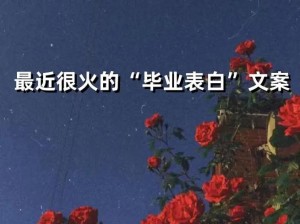 下一站我的大学，青春落幕 梦想扬帆新启航