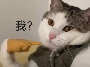 手指绑架表情包，探索资源管理的新奇艺术之道