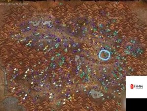 魔兽世界怀旧服探索，黑莲花刷新位置全攻略