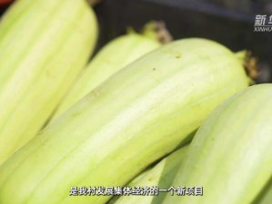 国产丝瓜视频在线：精彩内容不断，让你畅享视觉盛宴