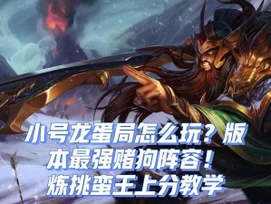 零压力运营！护卫龙王平滑上分秘诀大公开