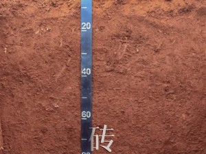 古代人生，红壤地究竟种什么作物最佳？购买红壤地真的划算吗？