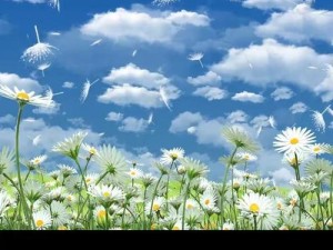 揭秘资源管理中映射内心彩虹的理想之歌之谜