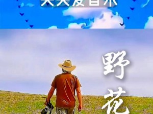 野花视频免费观看在线播放1：高清流畅体验，随时随地享受精彩内容