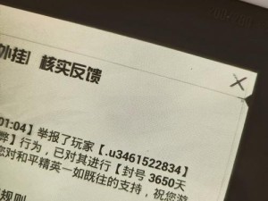 王牌战士账号封禁应对策略，详解解封步骤与秘籍