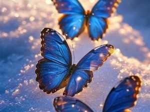 抖音蝴蝶飞舞背后的资源管理艺术探析