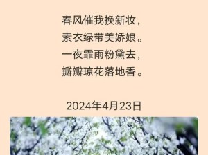 抖音热曲背后的秘密，梨花花又开在资源管理中的奥秘与价值