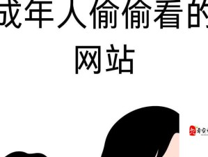 在线黄网站：成人必备的私密空间