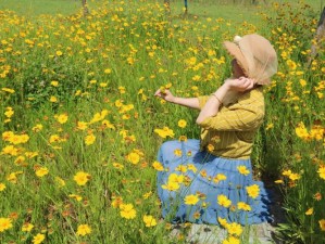 双飞探花：老阿姨与闺蜜的温馨服务体验，共享美好时光的独特故事